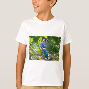 Nature Photography Shy Blue Jay Apparel Gifts T-Shirt