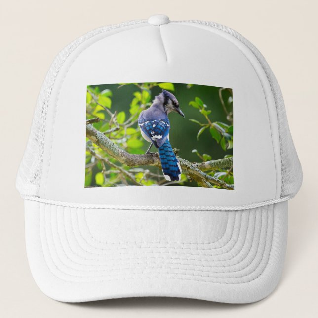 Nature Photography Shy Blue Jay Apparel Gifts Trucker Hat (Front)