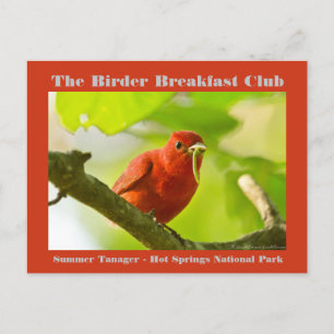Nature Photography Summer Tanager Birder Postcard