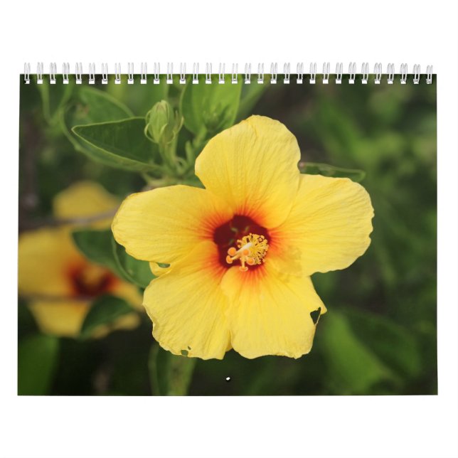 Nature photos from Kaui Calendar (Cover)