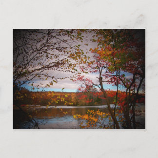 nature pics postcard