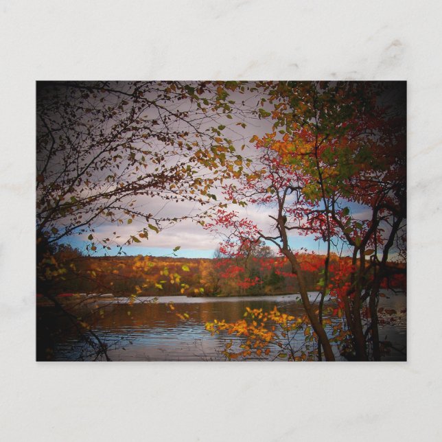 nature pics postcard (Front)