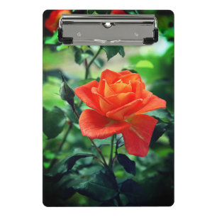 Nature Pink Rose Flower-46458 Mini Clipboard