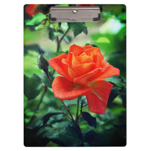 Nature Pink Rose Flower Clipboard
