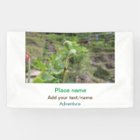 Nature plants photography beach water travel name