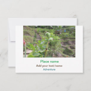 Nature plants photography beach water travel name card