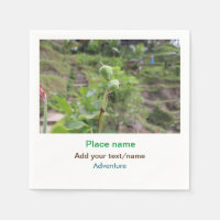 Nature plants photography beach water travel name