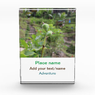 Nature plants photography beach water travel name photo block