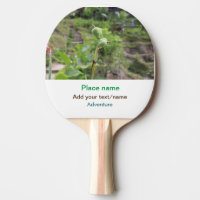 Nature plants photography beach water travel name