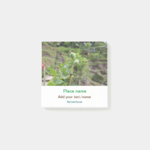 Nature plants photography beach water travel name post-it notes