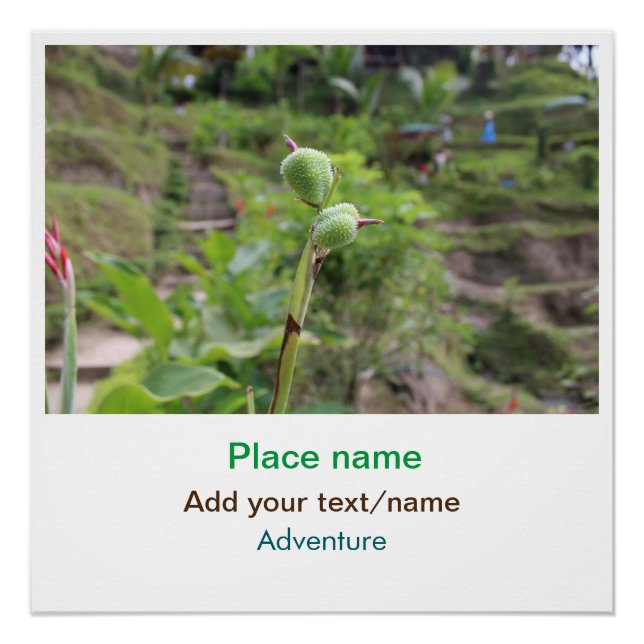 Nature plants photography beach water travel name poster (Front)