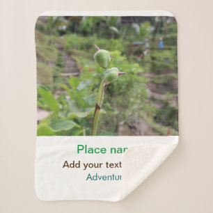 Nature plants photography beach water travel name sherpa blanket