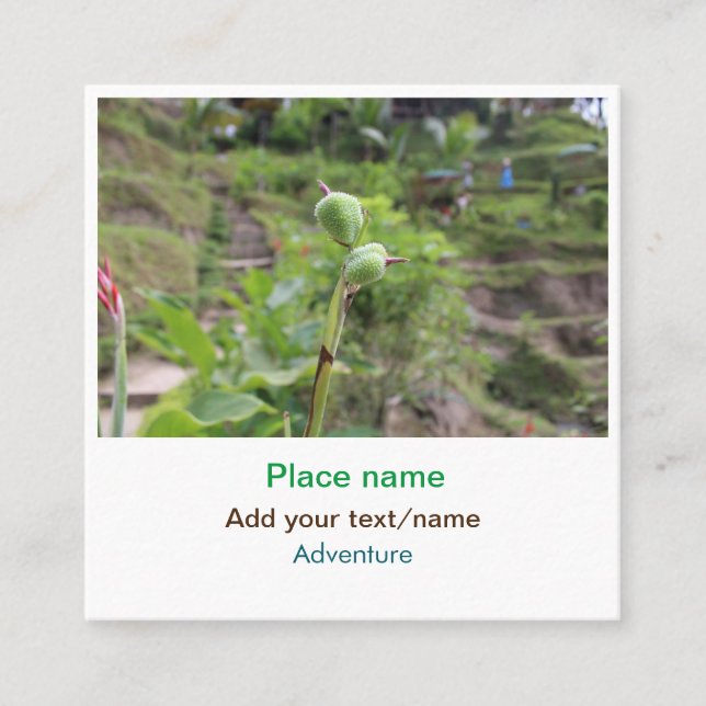 Nature plants photography beach water travel name square business card (Front)