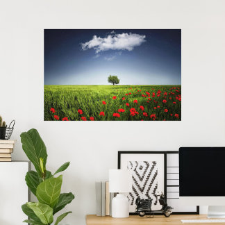 Nature Poppies field Poster