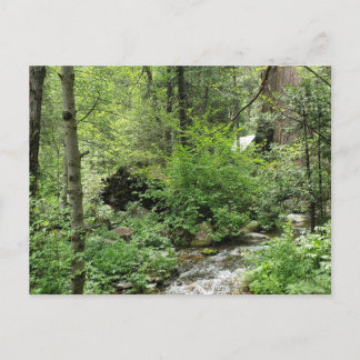 Nature Postcard