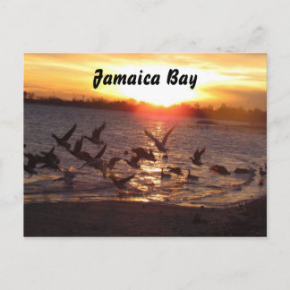 Nature Postcard