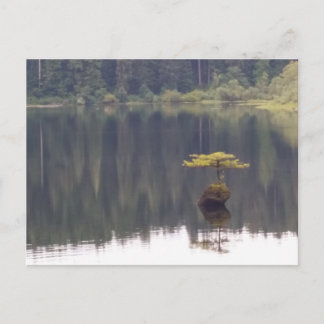 Nature Postcard