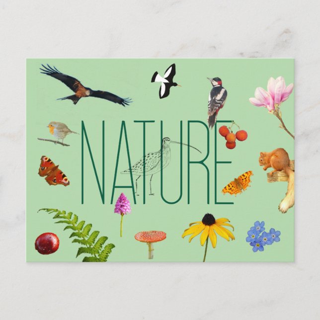 Nature Postcard (Front)
