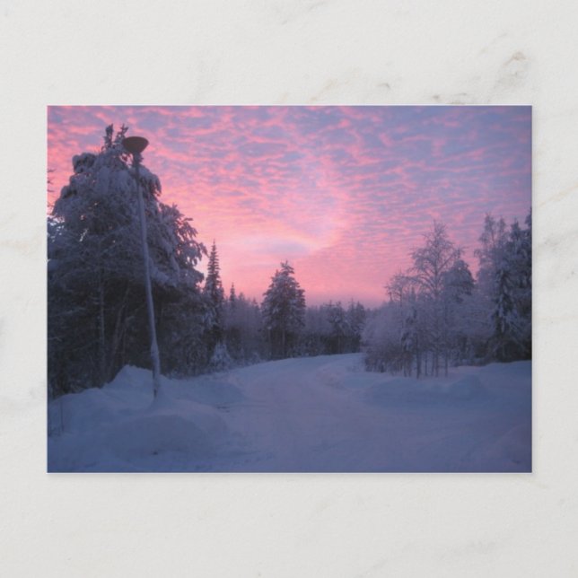 Nature Postcard (Front)