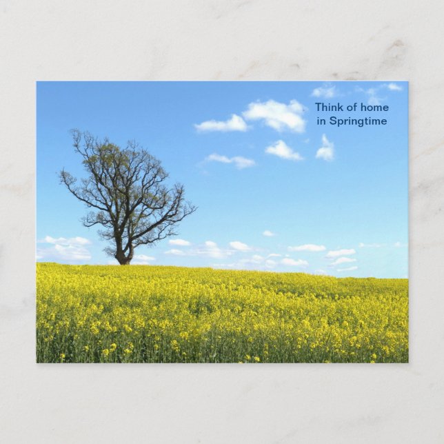 Nature Postcard (Front)