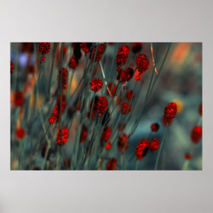 Nature Poster