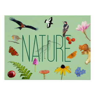 Nature Poster