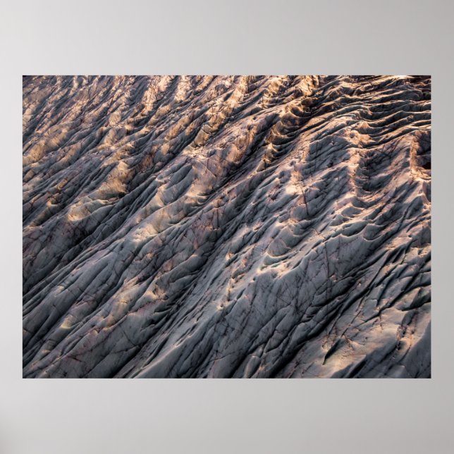 Nature Poster (Front)