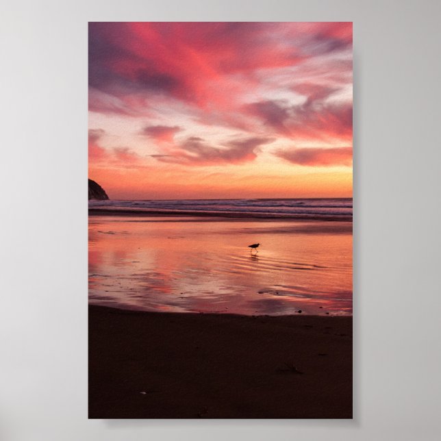 Nature Poster (Front)