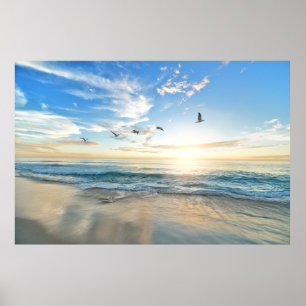 Nature Poster