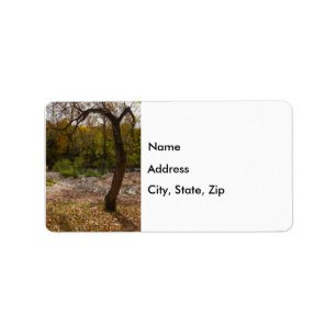 Nature Reaching Out Address Labels