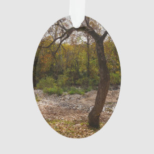 Nature Reaching Out Ornament