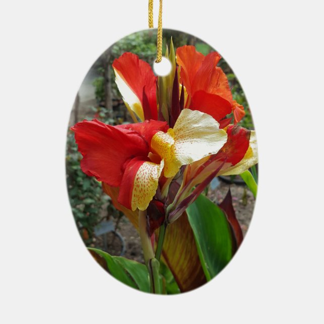 Nature Red Flower Floral Photography Ceramic Tree Decoration (Back)