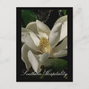 Nature Refreshes Postcard