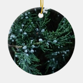 Nature Ripening Juniper Berries Ceramic Tree Decoration