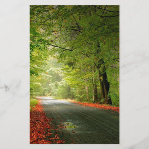 Nature Road Springtime Woods