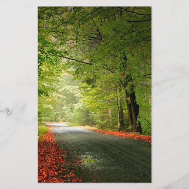 Nature Road Springtime Woods (Front)