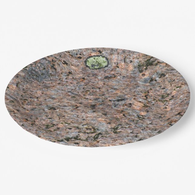 Nature Rock Photo Geology Texture Paper Plate (Angled)