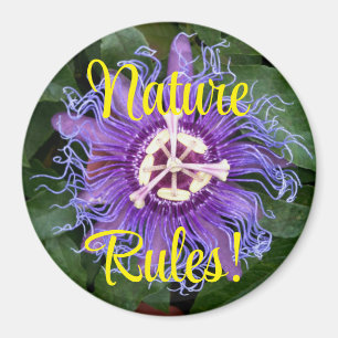 Nature Rules Purple Passionflower Close Up Magnet