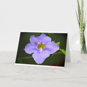 Nature’s Blessing, Card