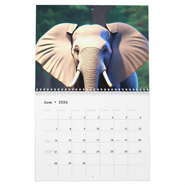 "Nature’s Bliss: A Year in Pictures" Calendar (Jun 2026)