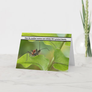 “Nature’s Delicate Balance - Insect on Leaf” Thank You Card