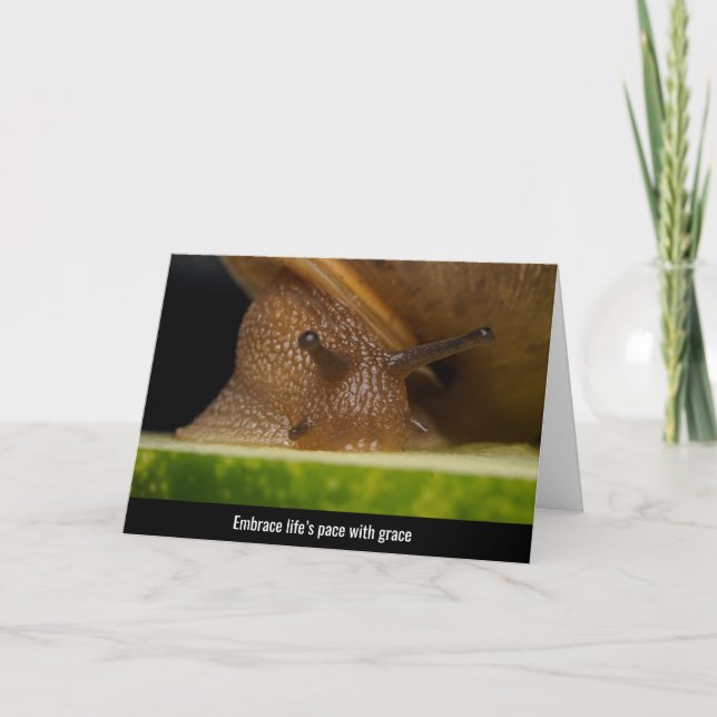 Nature’s Gentle Embrace - Snail Close-Up Thank You Card (Front)