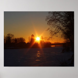 Nature’s Perfection of Creation Poster