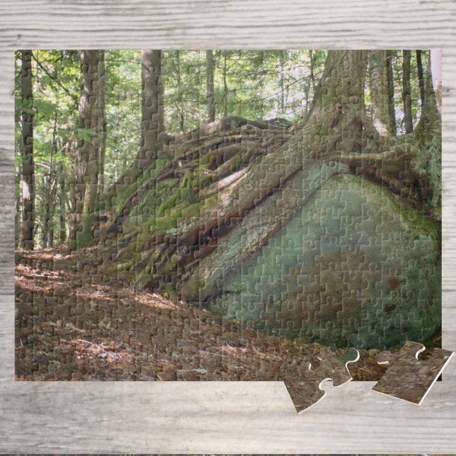 Nature’s Resilience Tree on Boulder Photographic Jigsaw Puzzle (Creator Uploaded)