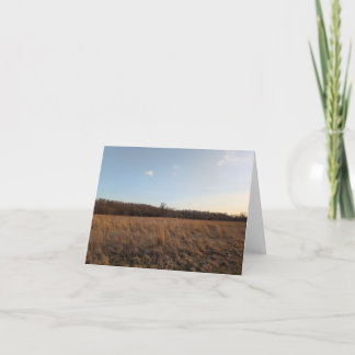 Nature’s Touch – Blank Greeting & Thank You Card