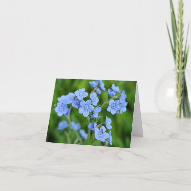 Nature’s Touch – Blank Greeting & Thank You Card (Front)