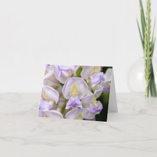 Nature’s Touch – Blank Greeting & Thank You Card