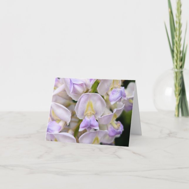 Nature’s Touch – Blank Greeting & Thank You Card (Front)