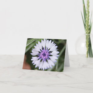 Nature’s Touch – Blank Greeting & Thank You Card