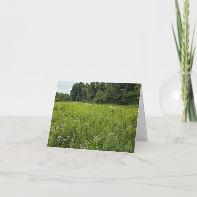 Nature’s Touch – Blank Greeting & Thank You Card (Front)